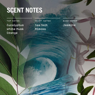 Cape Breeze Scented Candle - LOOMSHIRE - 5