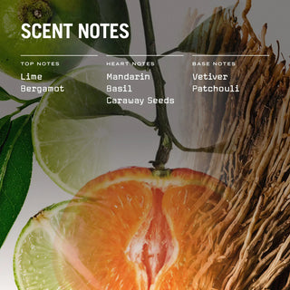 Citrico Reed Diffuser - LOOMSHIRE - 2