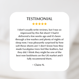 Cool & Comfy Silk Flat Sheet (Eucalyptus) - LOOMSHIRE - 5
