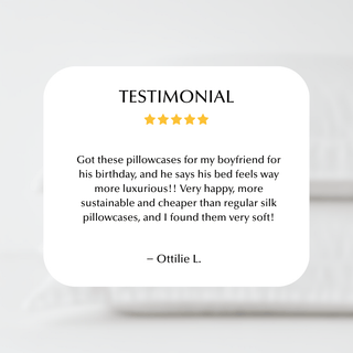Cool & Comfy Silk Pillowcase Pair (Eucalyptus) - LOOMSHIRE - 10