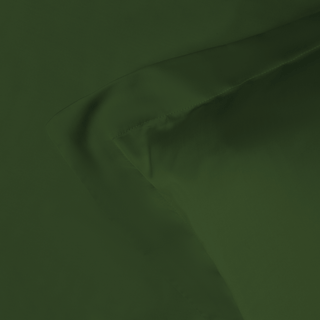 Eucalyptus Silk Pillowcase Pair in Forest Green (Best Seller) - LOOMSHIRE - 7