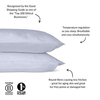 Eucalyptus Silk Pillowcase Pair in Sky Blue (Best Seller) - LOOMSHIRE - 3