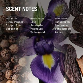 Firenze Leather Scented Candle - LOOMSHIRE - 5