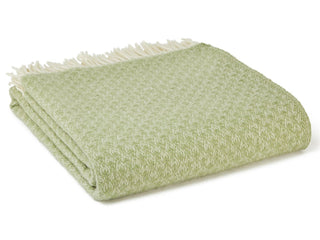 Isobel Crescent Pure New Wool Throw - Fern - LOOMSHIRE - 1