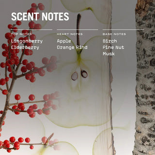 Lingonberry Reed Diffuser - LOOMSHIRE - 2