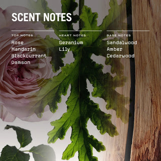 Medina Rose Reed Diffuser - LOOMSHIRE - 2