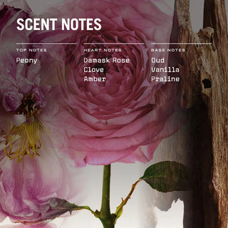 Oud Fortune Scented Candle Refill - LOOMSHIRE - 5