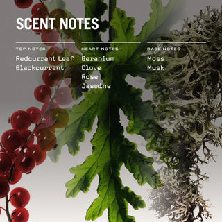 Red Lake Reed Diffuser - LOOMSHIRE - 2