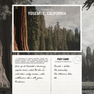 Sequoia Scented Candle Refill - LOOMSHIRE - 4