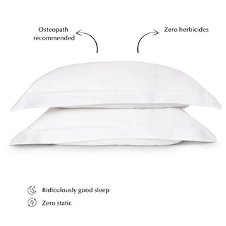 Sleepyhead Silk Pillow Set in White (Top Seller) - LOOMSHIRE - 2